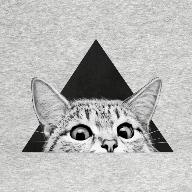 Are you asleep yet? Cat TShirt TeePublic